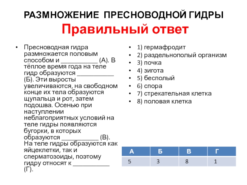 Вход на кракен